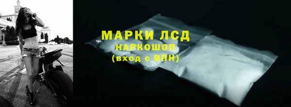 сатива Каменногорск