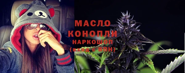 сатива Каменногорск