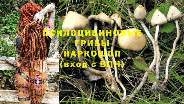 экстази Каменск-Шахтинский