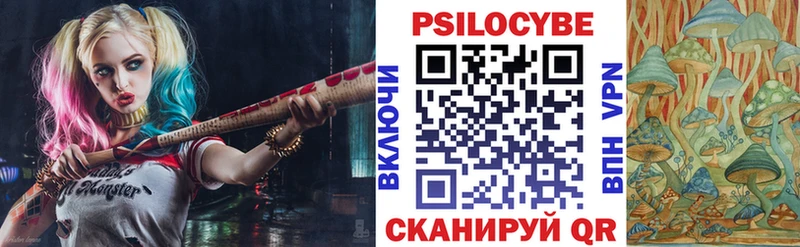 Псилоцибиновые грибы Psilocybine cubensis  Купить закладки  Кимовск 